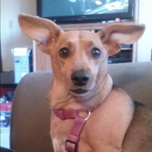 Meet your Posher, Carla